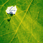 (Bild für) A Bug's Life "Multi Pak" Special 2003 Collectors Edition